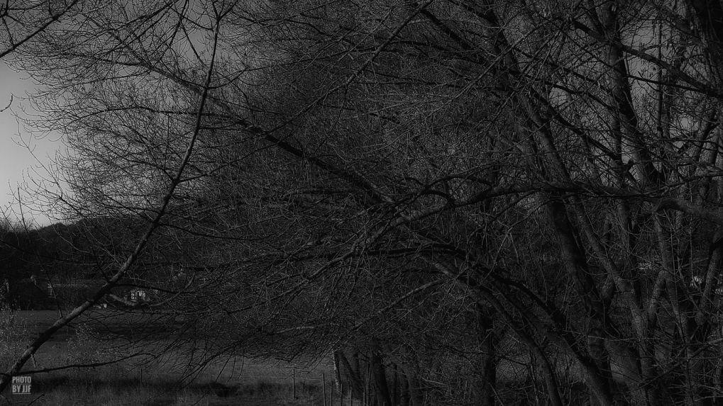 Hiver_JJFlande_2026