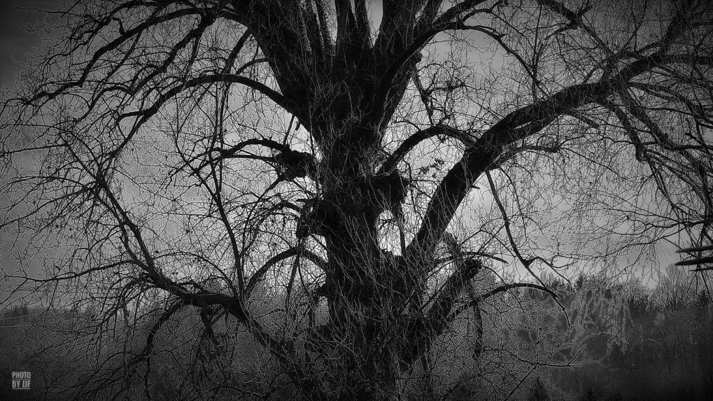 Hiver_JJFlande_2039