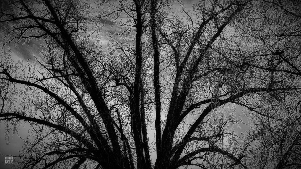 Hiver_JJFlande_2040