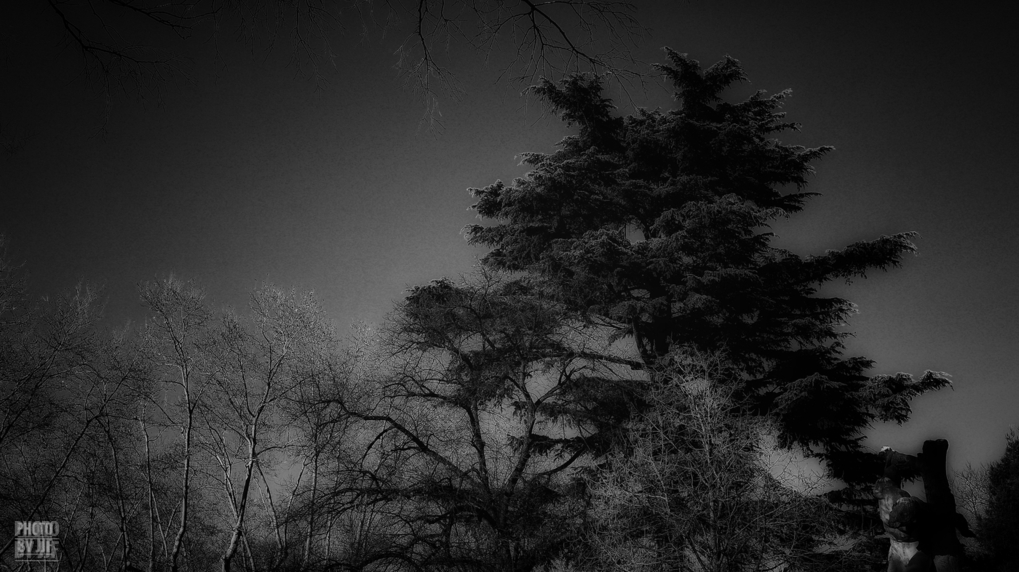 entre2brises_aupres_de_mon_arbre_11