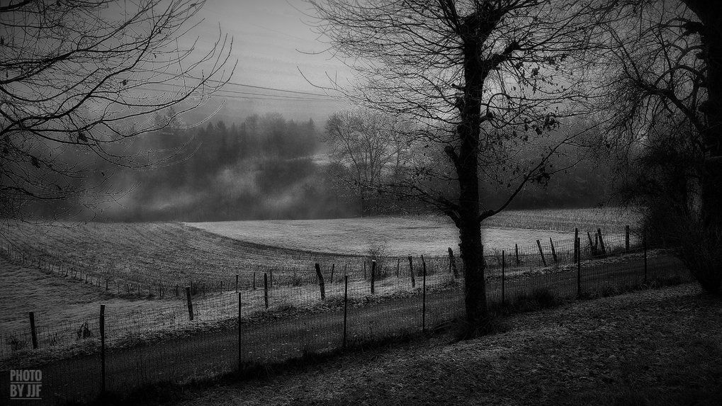 entre2brises_aupres_de_mon_arbre_13