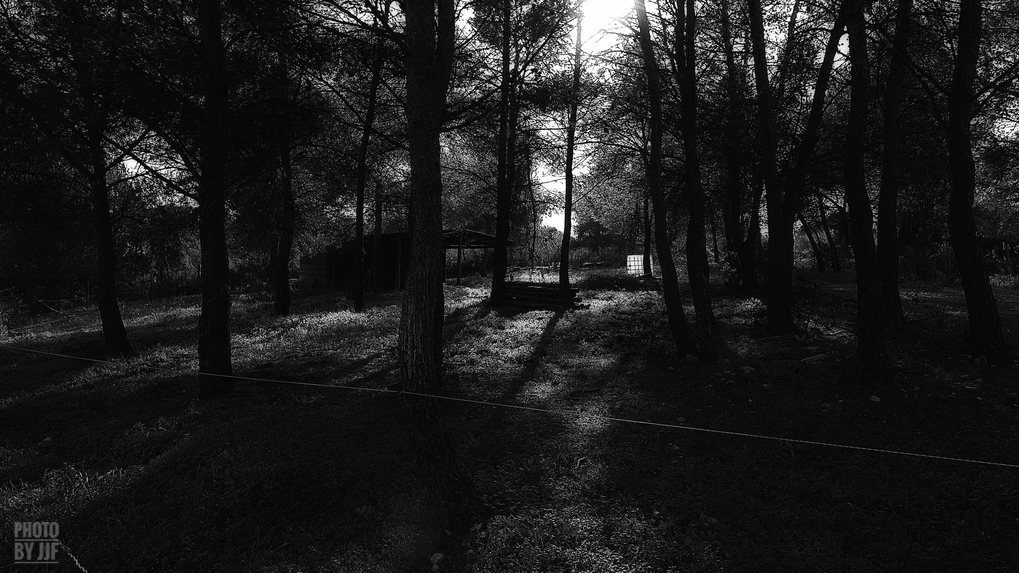 entre2brises_aupres_de_mon_arbre_18