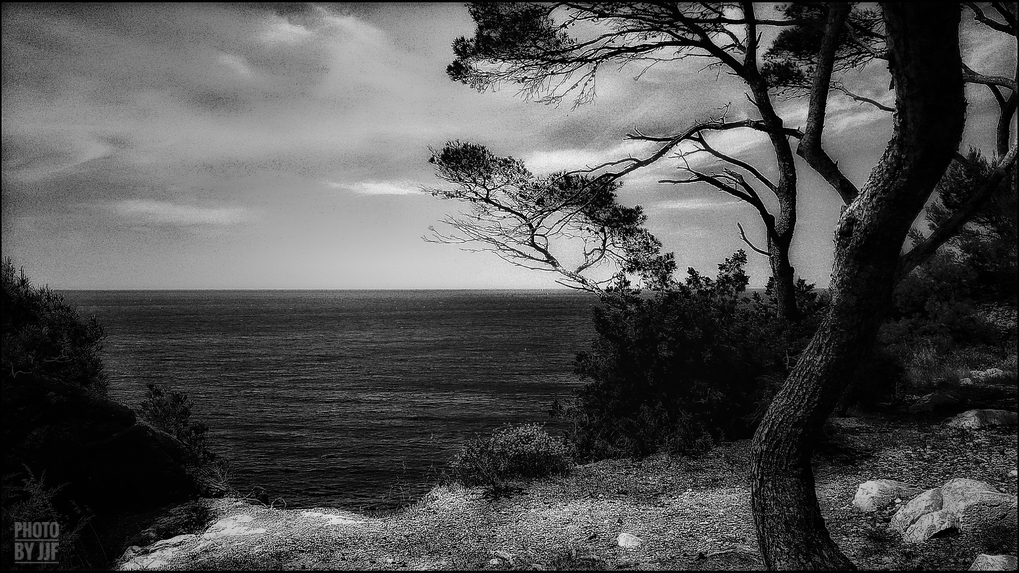 entre2brises_aupres_de_mon_arbre_6