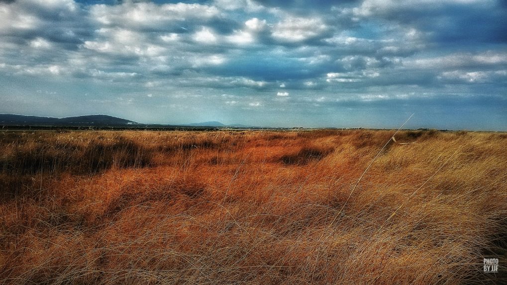 Entre les Aresquiers et la plage de  Villeneuve-lès-Maguelone, en regardant vers l'étang de la Pierre Blanche on aperçoit aisément au premier plan la colline de Mireval (Massif de la Gardiole) et en arrière Montpellier et en fond le Pic Saint Loup