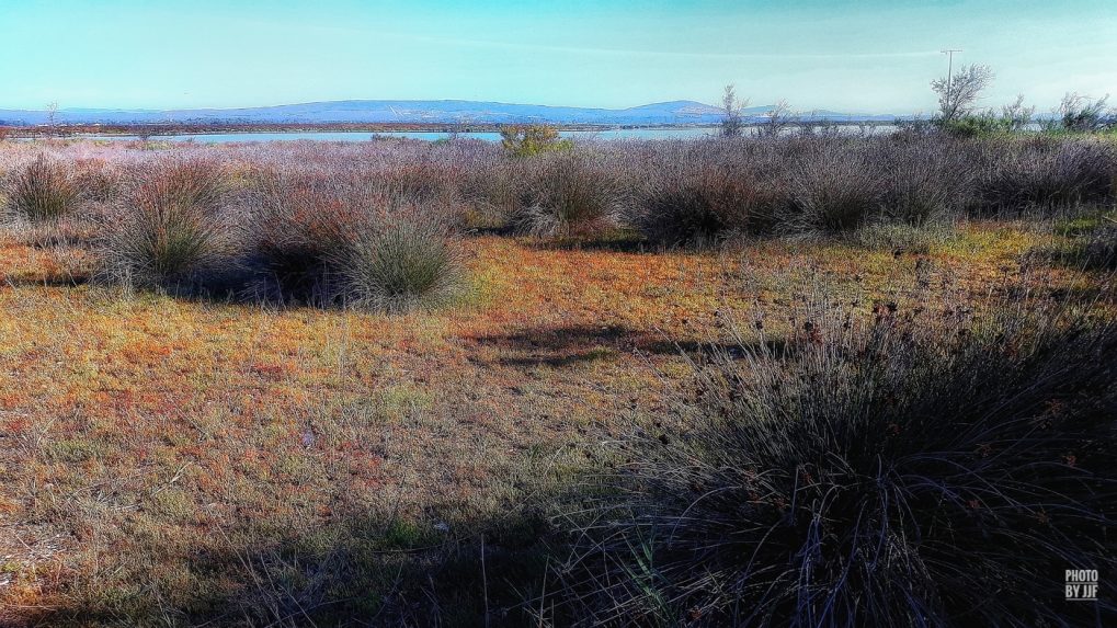 Entre l'étang de la pierre blanche (premier plan) on voit le massif de la Gardiole à proximité de Mireval .
Je suis dos à la plage qui se situe entre  Villeneuve-lès-Maguelone et les Aresquiers .Une grande bande de sable couverte de joncs qui jaunissent avec la progression de l'été pour devenir fauve à l'automne et rouille au cocher du soleil.