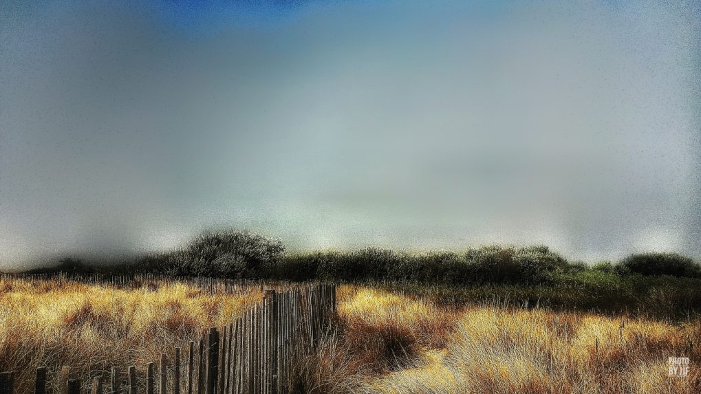 Entre l'étang de la pierre blanche et la plage de  Villeneuve-lès-Maguelone s'étend une grande bande de sable couverte de joncs qui jaunissent avec la progression de l'été pour devenir fauve à l'automne et rouille au cocher du soleil. Le brouillard envahit la zone humide. L'orage est menaçant.