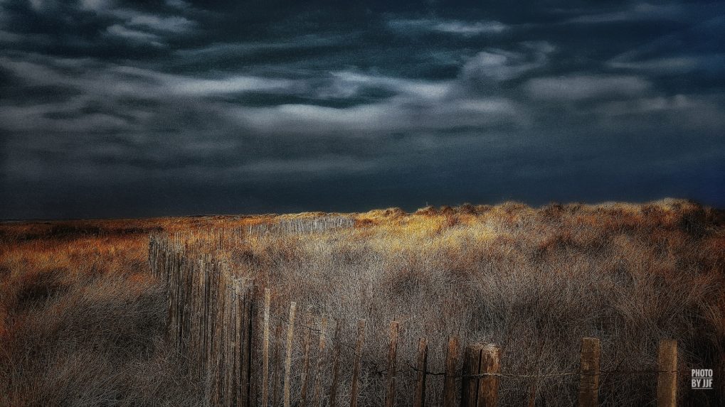 Entre l'étang de la pierre blanche et la plage de  Villeneuve-lès-Maguelone s'étend une grande bande de sable couverte de joncs qui jaunissent avec la progression de l'été pour devenir fauve à l'automne et rouille au cocher du soleil. Le brouillard envahit la zone humide. L'orage est menaçant.