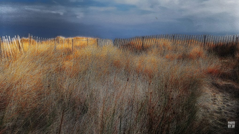 Entre l'étang de la pierre blanche et la plage de  Villeneuve-lès-Maguelone s'étend une grande bande de sable couverte de joncs qui jaunissent avec la progression de l'été pour devenir fauve à l'automne et rouille au cocher du soleil. Le brouillard envahit la zone humide. L'orage est menaçant.