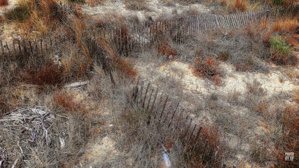 Entre l'étang de la pierre blanche et la plage de  Villeneuve-lès-Maguelone s’étend une grande bande de sable, la zone humide, couverte de joncs qui jaunissent avec la progression de l'été pour devenir fauve à l'automne et rouille au coucher du soleil.